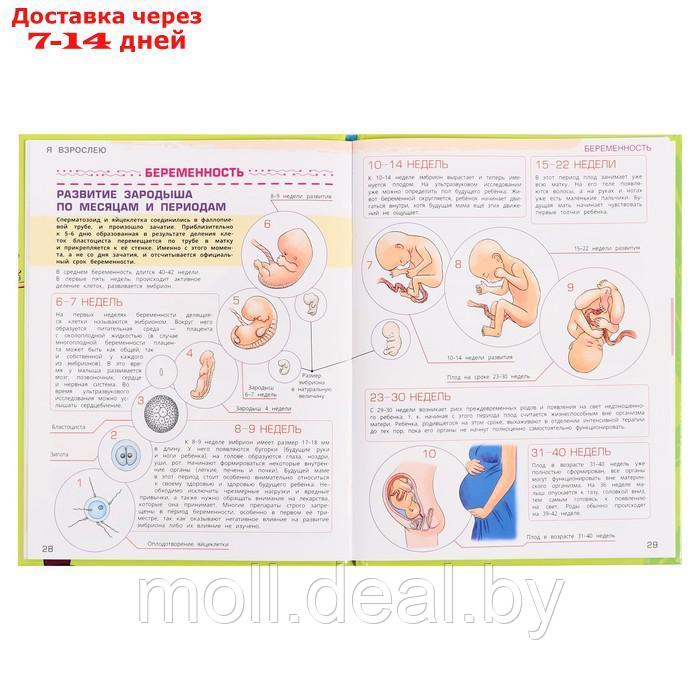 Энциклопедия "Я взрослею: всё, о чём нужно знать подростку" 48 стр. - фото 6 - id-p227098265
