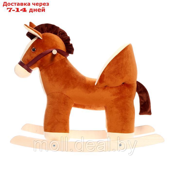 Качалка "Лошадка малая" со спинкой, цвет коричневый См-805-4_кор - фото 2 - id-p227082912