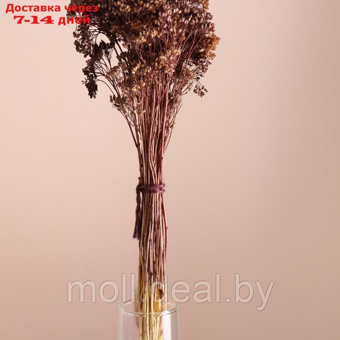 Набор сухоцветов "Тысячелистник" длина 60 см +/- 5см , коричневый - фото 2 - id-p227079944