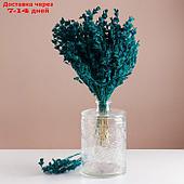 Набор сухоцветов "Шандра", банч длина 40 (+/- 6 см), изумрудный