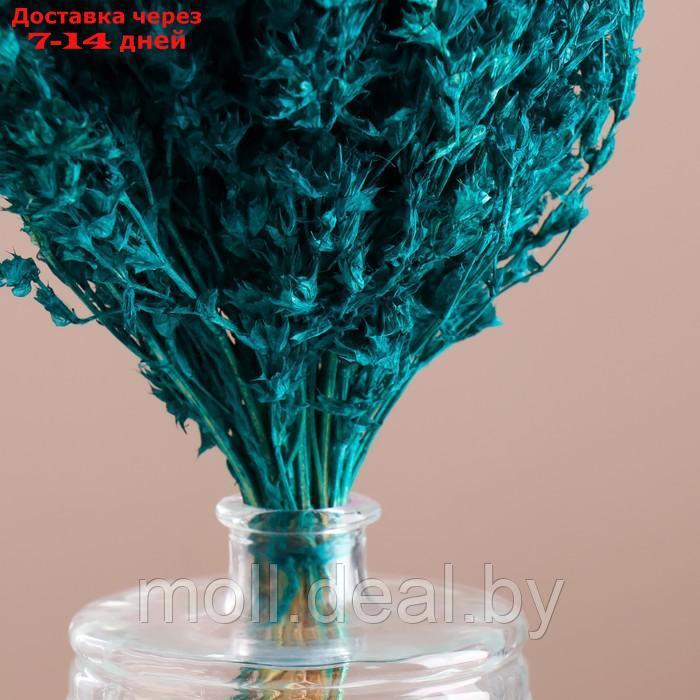 Набор сухоцветов "Шандра", банч длина 40 (+/- 6 см), изумрудный - фото 2 - id-p227079946