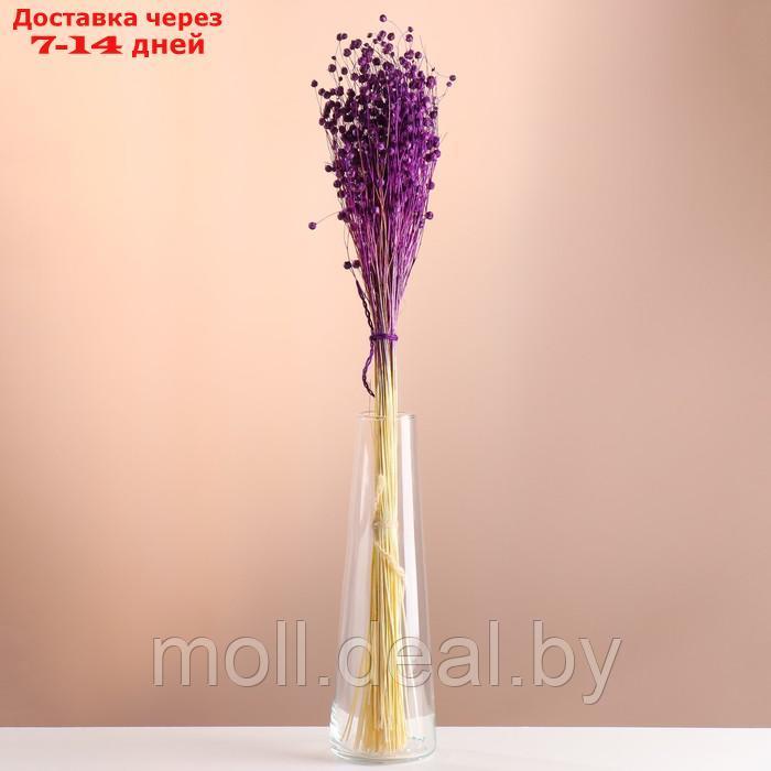 Набор сухоцветов "Лён-долгунец", банч длина 55-60 (+/- 6 см), фиолетовый - фото 1 - id-p227079947