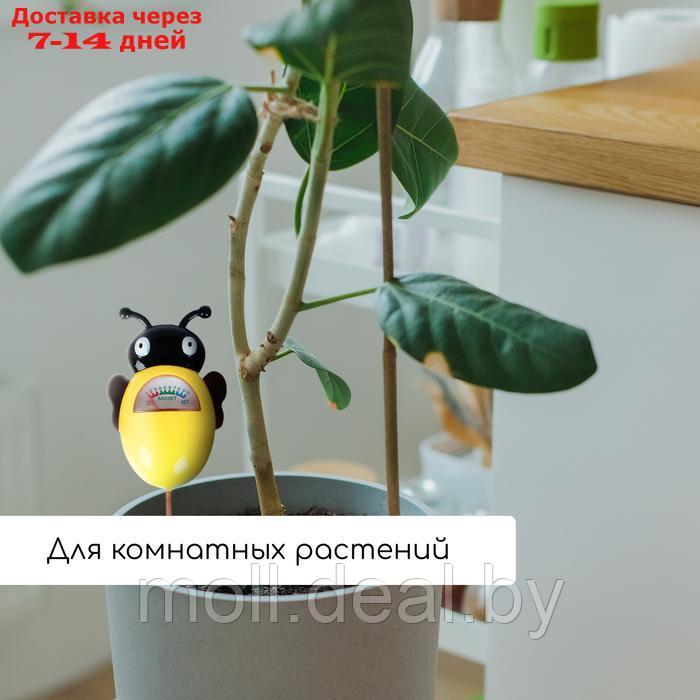 Прибор для измерения влажности почвы, "Пчёлка" - фото 5 - id-p227090857