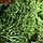 Мох ягель стабилизированный "Натуральный зелёный" 1000 гр., фото 3