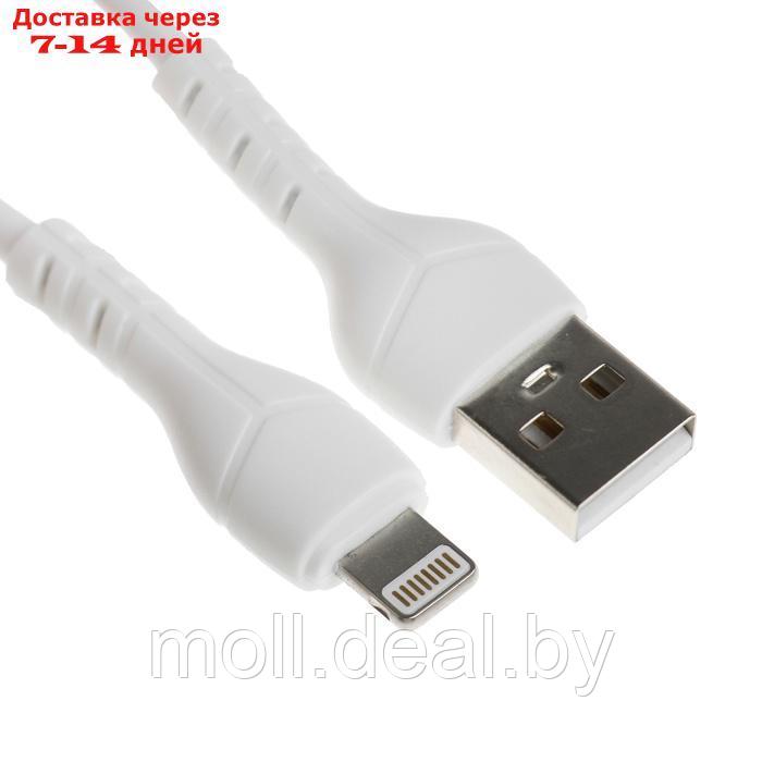Сетевое зарядное устройство BYZ U40, 1 USB, 18 Вт, 5 А, кабель USB - Lightning, 1 м,PD,белый - фото 5 - id-p227088874