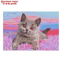 Алмазная мозаика "Британский котенок", полн.заполнение, 21 × 30 см