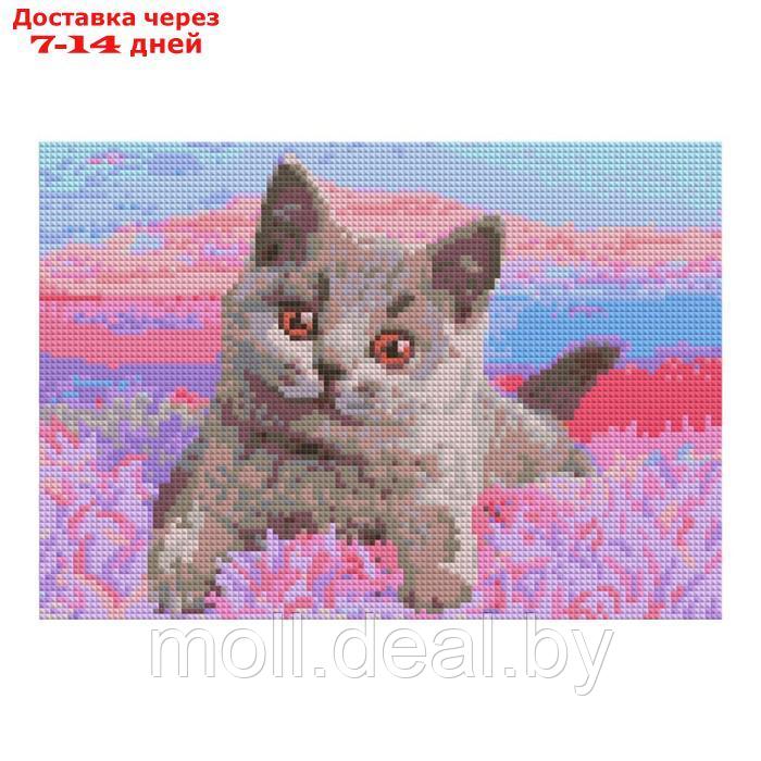 Алмазная мозаика "Британский котенок", полн.заполнение, 21 × 30 см - фото 1 - id-p226888658