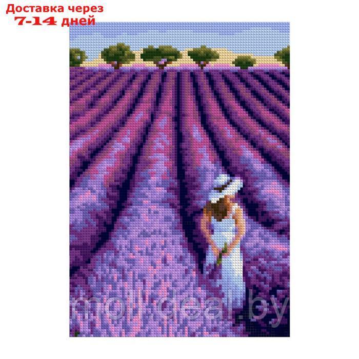 Алмазная мозаика "Лавандовое поле", полн.заполнение, 21 × 30 см - фото 1 - id-p226888660