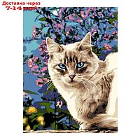 Картина по номерам "Голубоглазая красотка", на картоне 28,5 × 38 см