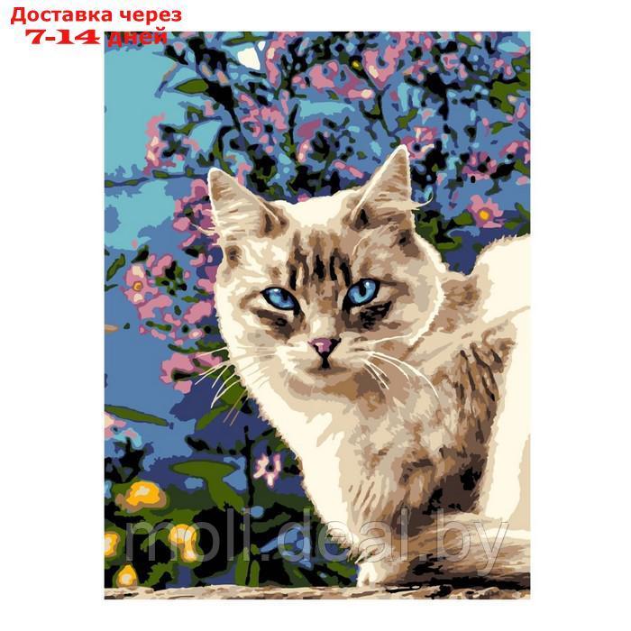 Картина по номерам "Голубоглазая красотка", на картоне 28,5 × 38 см - фото 1 - id-p226888661