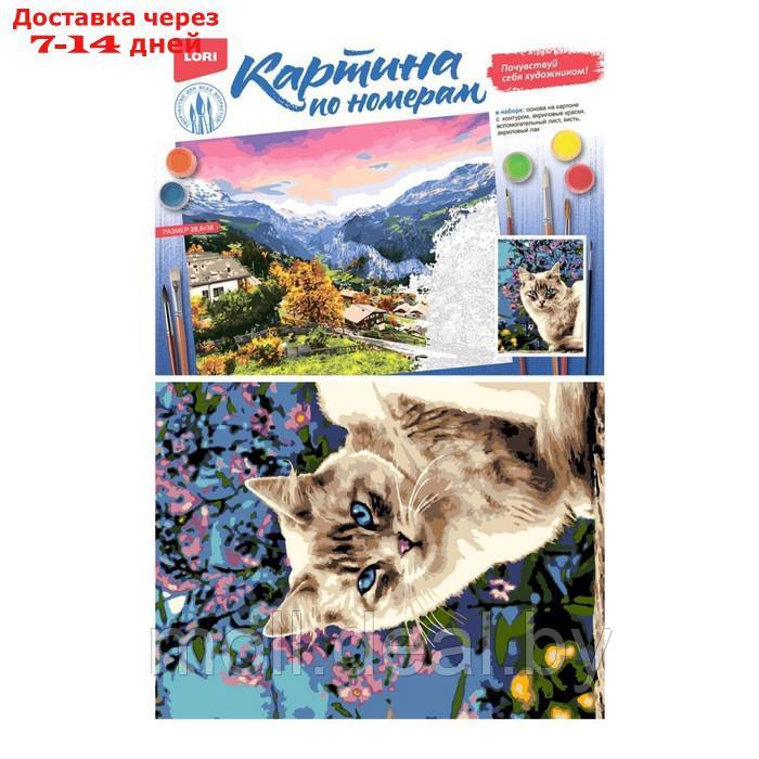 Картина по номерам "Голубоглазая красотка", на картоне 28,5 × 38 см - фото 4 - id-p226888661