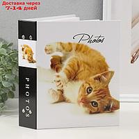 Фотоальбом на 200 фото 10х15 см "Кошки-2 (1 кошка)"