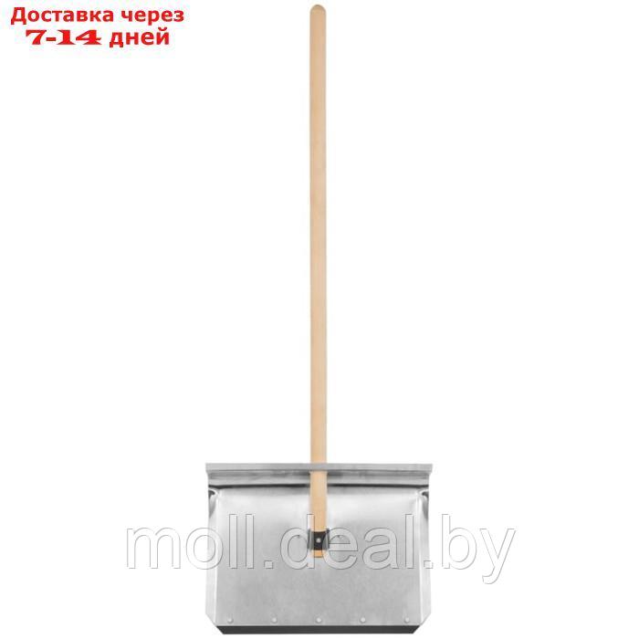 Лопата алюминиевая, ковш 500 × 400 мм, с планкой, деревянный черенок, "Сибртех" - фото 3 - id-p227091880