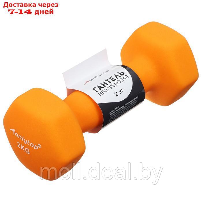 Гантель неопреновая ONLYTOP, 2 кг, цвет оранжевый - фото 1 - id-p227095965