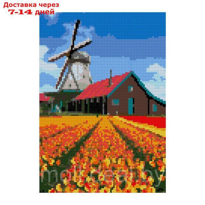 Алмазная мозаика "Мельница над тюльпановым полем", полн.заполнение, 21 × 30 см - фото 1 - id-p226888683