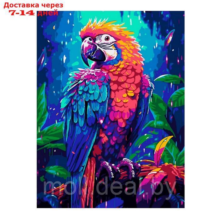 Картина по номерам "Тропики", холст на подрамнике 30 × 40 см - фото 1 - id-p226888686