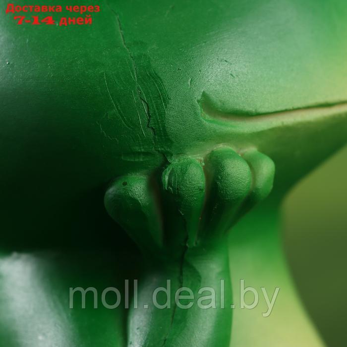 Садовая фигура "Принцесса лягушка" 9х18х17см - фото 6 - id-p227075005