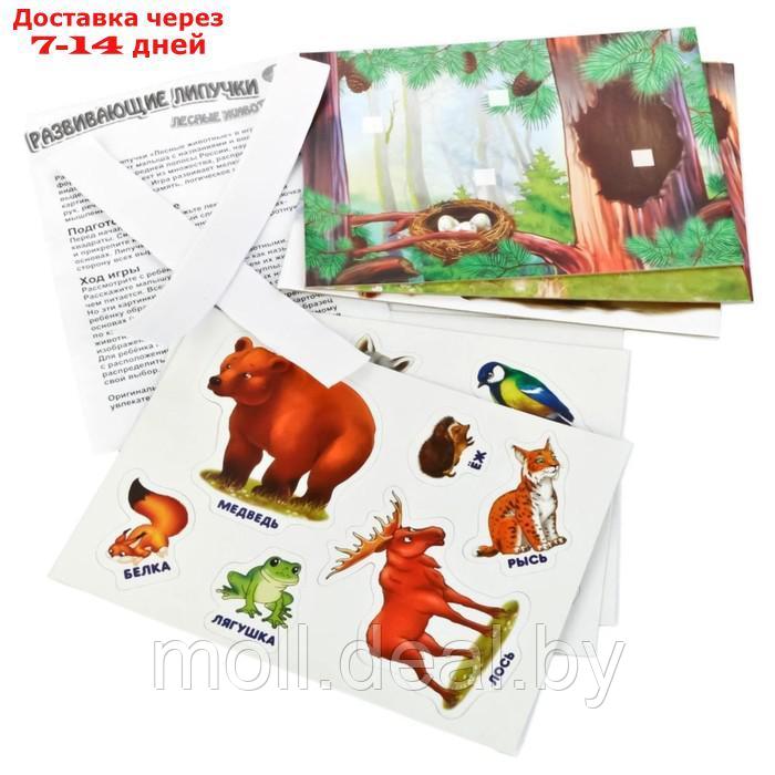 Развивающая игра "Лесные животные", с липучками, 3+ - фото 2 - id-p227082957