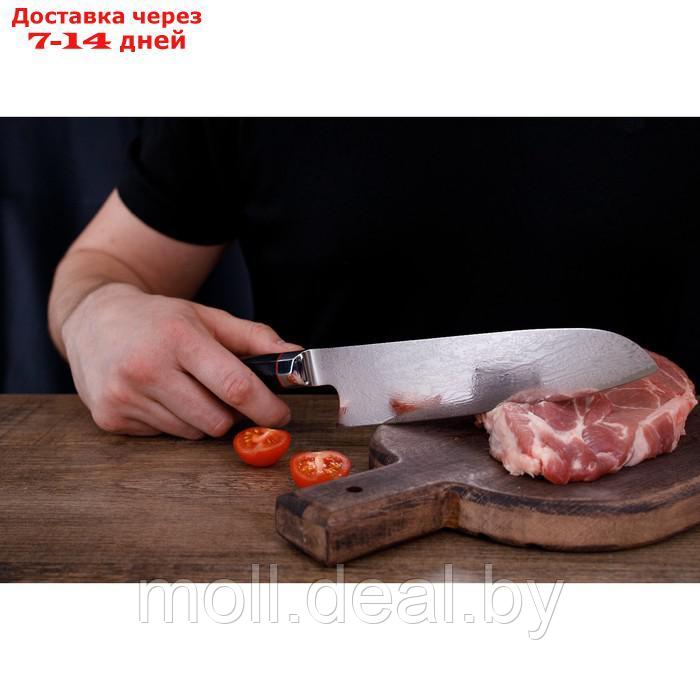 Нож сантоку Magistro "Ортего", длина лезвия 18 см, дамасская сталь AUS-10 - фото 9 - id-p227076988