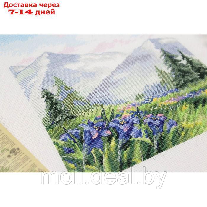 Набор для вышивания "Прогулка в горы" 20 × 16 см - фото 4 - id-p226888696