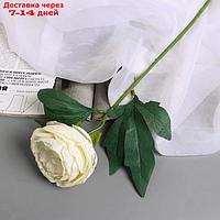 Цветы искусственные "Пион Пижон" d- 8 см 45 см, белый