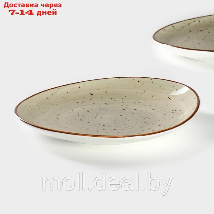 Набор тарелок фарфоровых обеденных Magistro Mediterana, 2 предмета: 26×24,5 см, цвет бежевый - фото 5 - id-p227076993