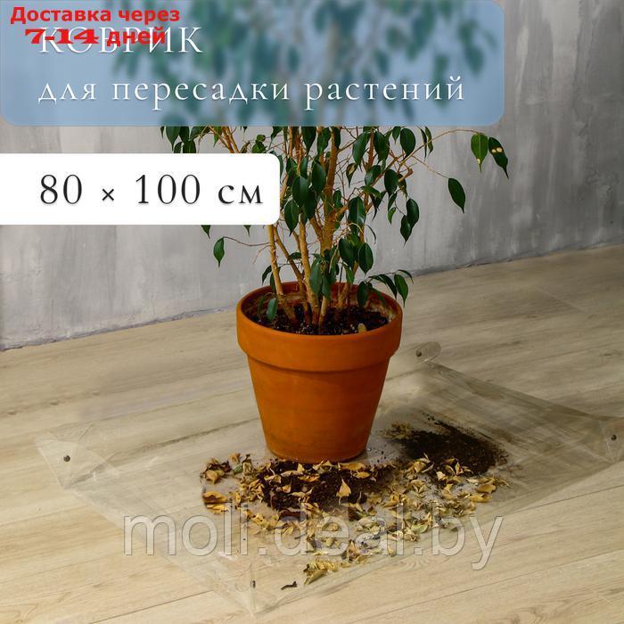 Коврик для пересадки растений, гибкое стекло, 80 × 100 см - фото 1 - id-p227075022