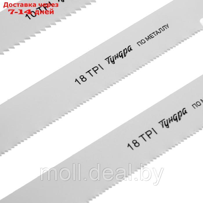 Набор полотен универсальных для сабельной пилы ТУНДРА, HCS/Bimetal, 150/200х19 мм, 10 шт. - фото 5 - id-p227109173