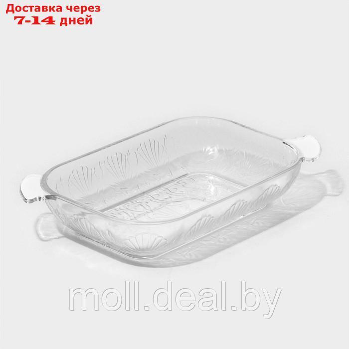 Блюдо-шубница "Ракушка", стеклянное, 30×16×5 см, в подарочной упаковке - фото 1 - id-p227098435