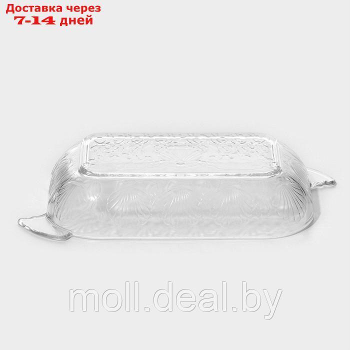 Блюдо-шубница "Ракушка", стеклянное, 30×16×5 см, в подарочной упаковке - фото 5 - id-p227098435