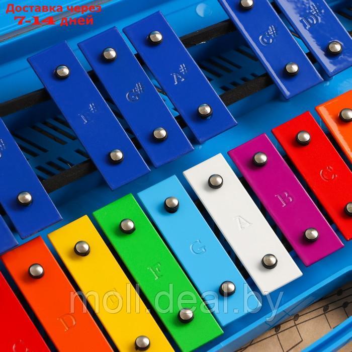 Музыкальный инструмент Металлофон Music Life, 25 тонов, футляр, 2 палочки, синий - фото 3 - id-p227088929