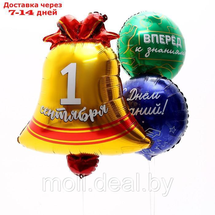 Букет шаров "1 сентября", фольга, набор 3 шт. - фото 3 - id-p227100919