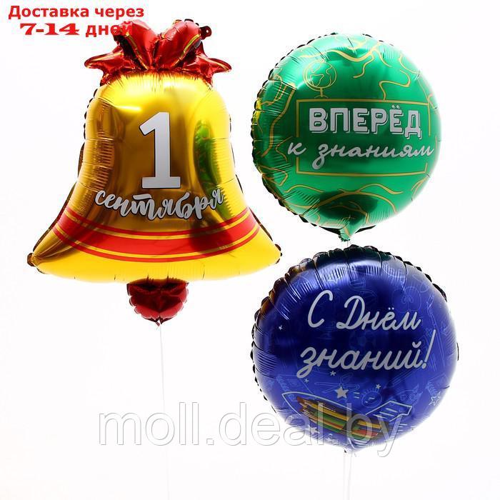Букет шаров "1 сентября", фольга, набор 3 шт. - фото 4 - id-p227100919