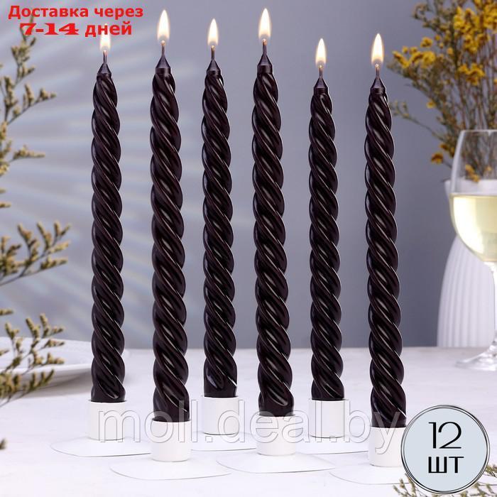 Набор свечей витых, 2,3х 24,5 см, 12 штук, черный - фото 1 - id-p227086971