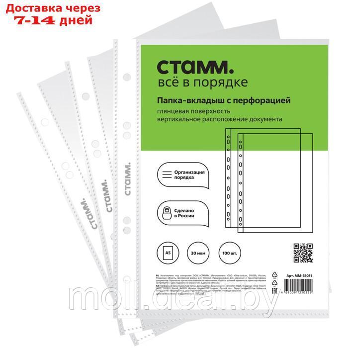 Файл-вкладыш А5, 30 мкм, СТАММ, глянцевый, вертикальный, 100 штук