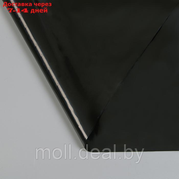 Плёнка полиэтиленовая для пруда, толщина 350 мкм, 3 × 5 м, рукав (1,5 м × 2), чёрная - фото 5 - id-p227075045