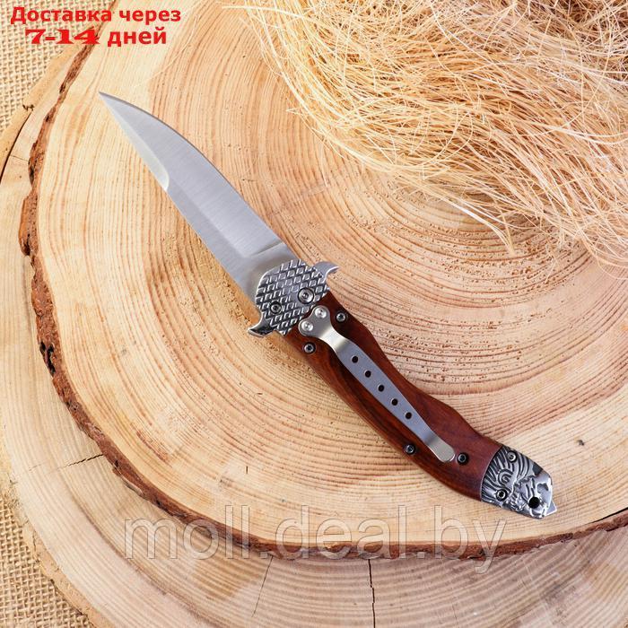 Нож складной "Гарпун" 21,5см, клинок 86мм/3мм - фото 3 - id-p227076035