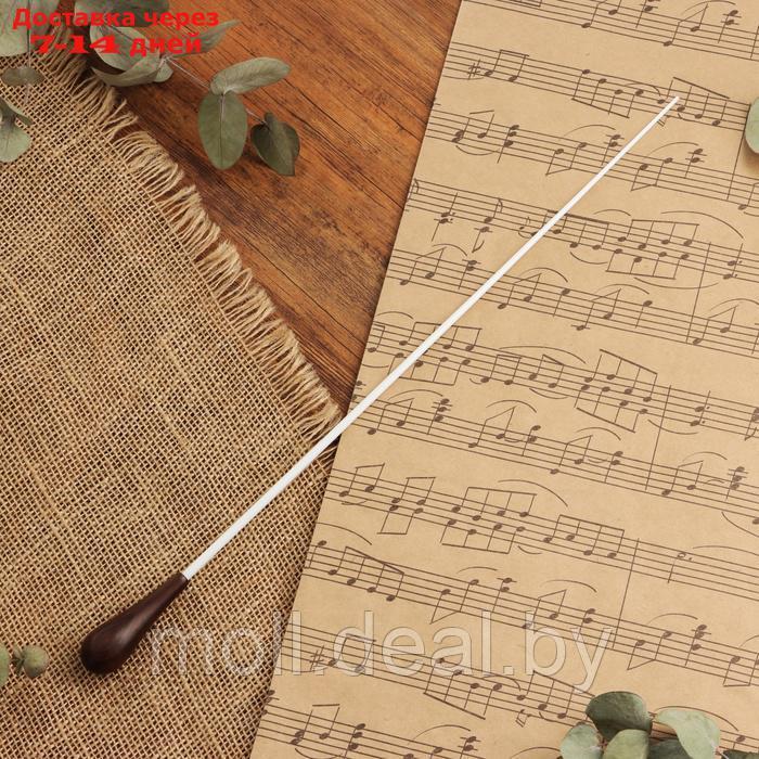 Дирижерская палочка Music Life, 38,5 х 2 см, коричневая деревянная ручка - фото 1 - id-p227088948