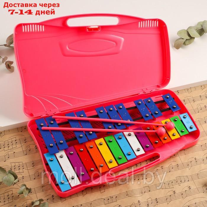 Музыкальный инструмент Металлофон Music Life, 25 тонов, футляр, 2 палочки, розовый - фото 1 - id-p227088952