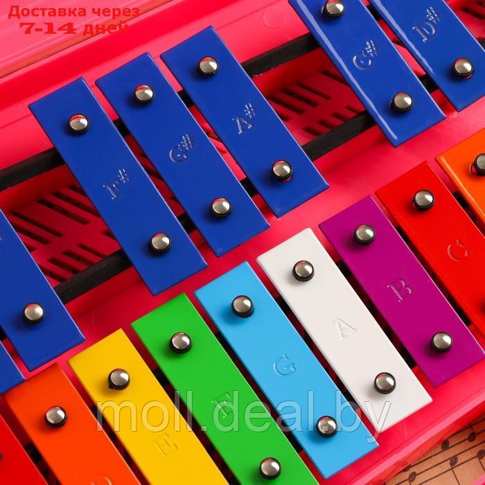 Музыкальный инструмент Металлофон Music Life, 25 тонов, футляр, 2 палочки, розовый - фото 3 - id-p227088952