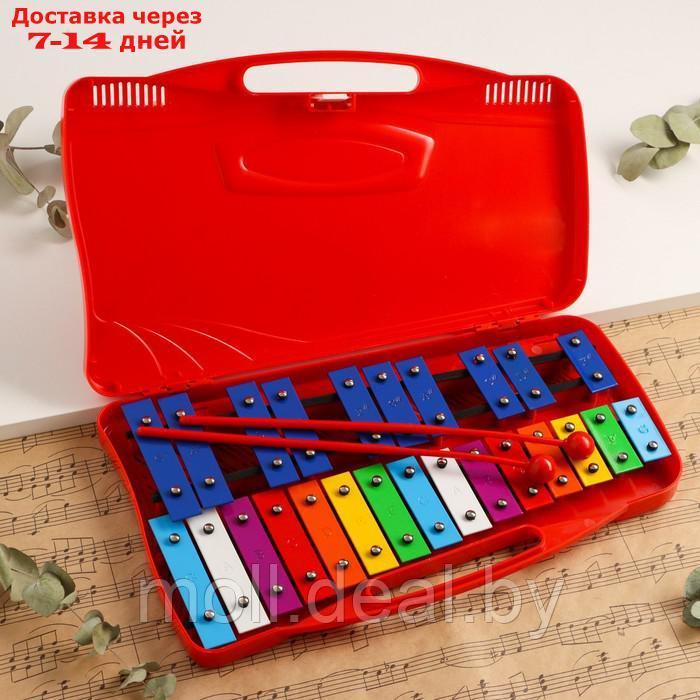 Музыкальный инструмент Металлофон Music Life, 25 тонов, футляр, 2 палочки, красный - фото 1 - id-p227088959