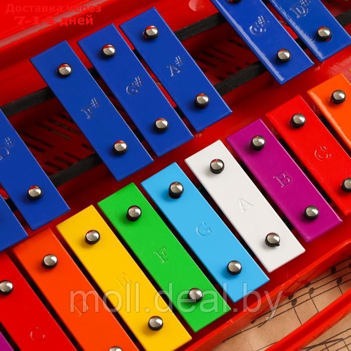 Музыкальный инструмент Металлофон Music Life, 25 тонов, футляр, 2 палочки, красный - фото 3 - id-p227088959