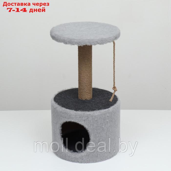 Домик с когтеточкой круглый, джут, 35 х 35 х 64 см. серый - фото 6 - id-p227111299