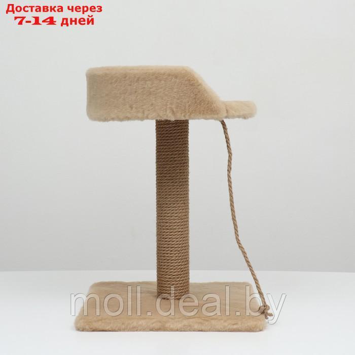 Столбик-когтеточка с лежаком, 35 х 35 х 55 см, бежевый - фото 3 - id-p227111300