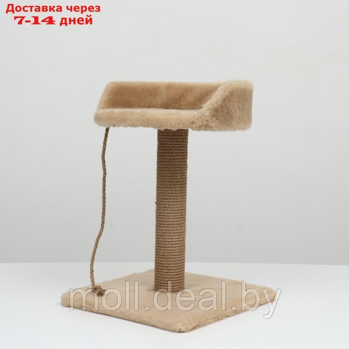 Столбик-когтеточка с лежаком, 35 х 35 х 55 см, бежевый - фото 5 - id-p227111300