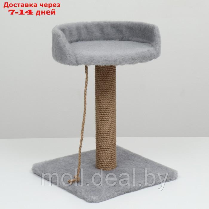 Столбик-когтеточка с лежаком, 35 х 35 х 55 см, серый - фото 2 - id-p227111303