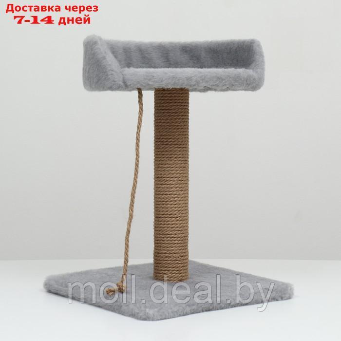 Столбик-когтеточка с лежаком, 35 х 35 х 55 см, серый - фото 3 - id-p227111303