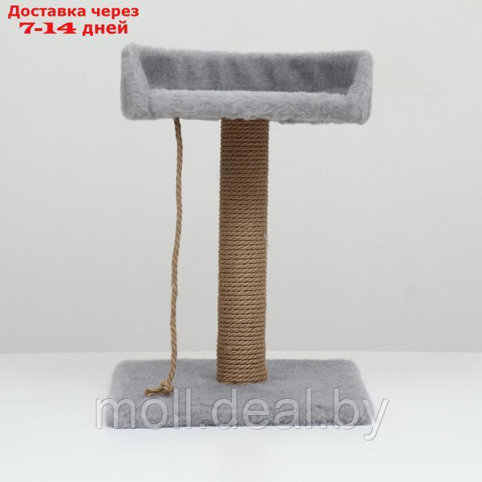 Столбик-когтеточка с лежаком, 35 х 35 х 55 см, серый - фото 5 - id-p227111303
