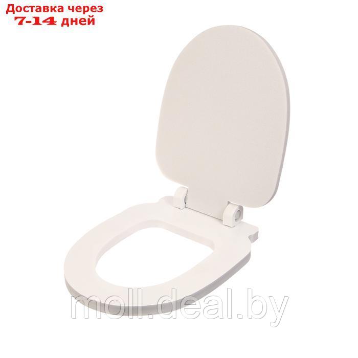 Сиденье для уличного туалета, с крышкой, 38 × 50 см, Стандарт, пенополистирол - фото 8 - id-p227075056