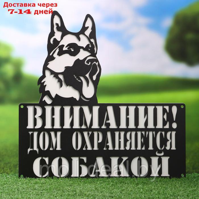 Табличка "Охраняется собакой" 29,6х29,6см - фото 1 - id-p227075061